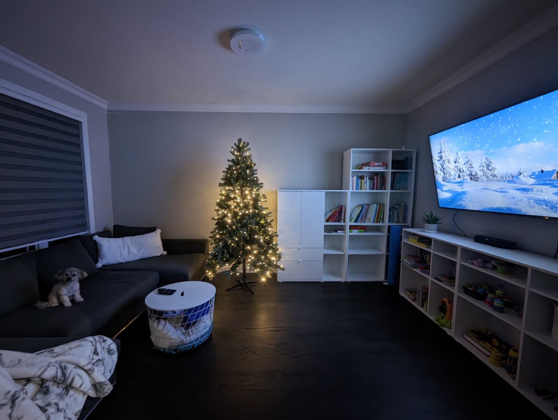 Living room with built-in shelving